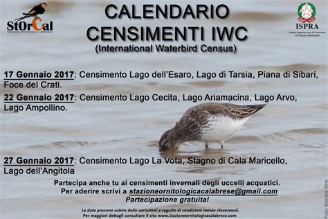 foto uccelli aquatici censimenti iwc|INDEX iwc .